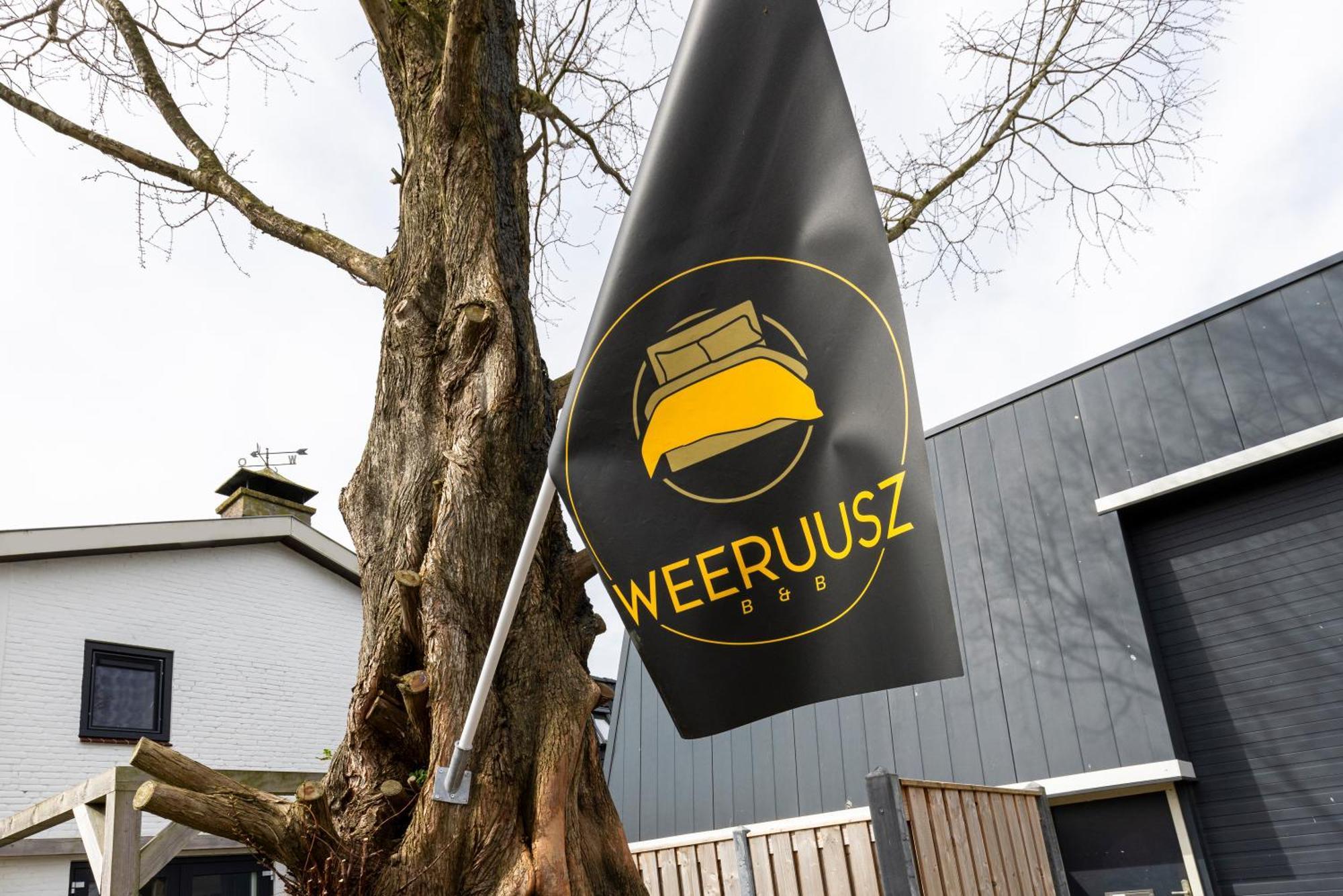Bed and Breakfast Weeruusz Kolderwolde Zewnętrze zdjęcie